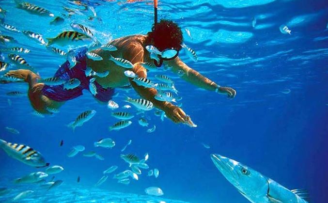 Snorkeling & diving terbaik
